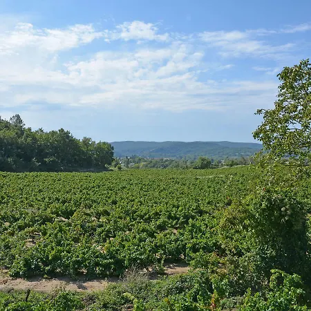 View Rhone * Aramon